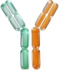 Multispecific Antibody Target Proteins